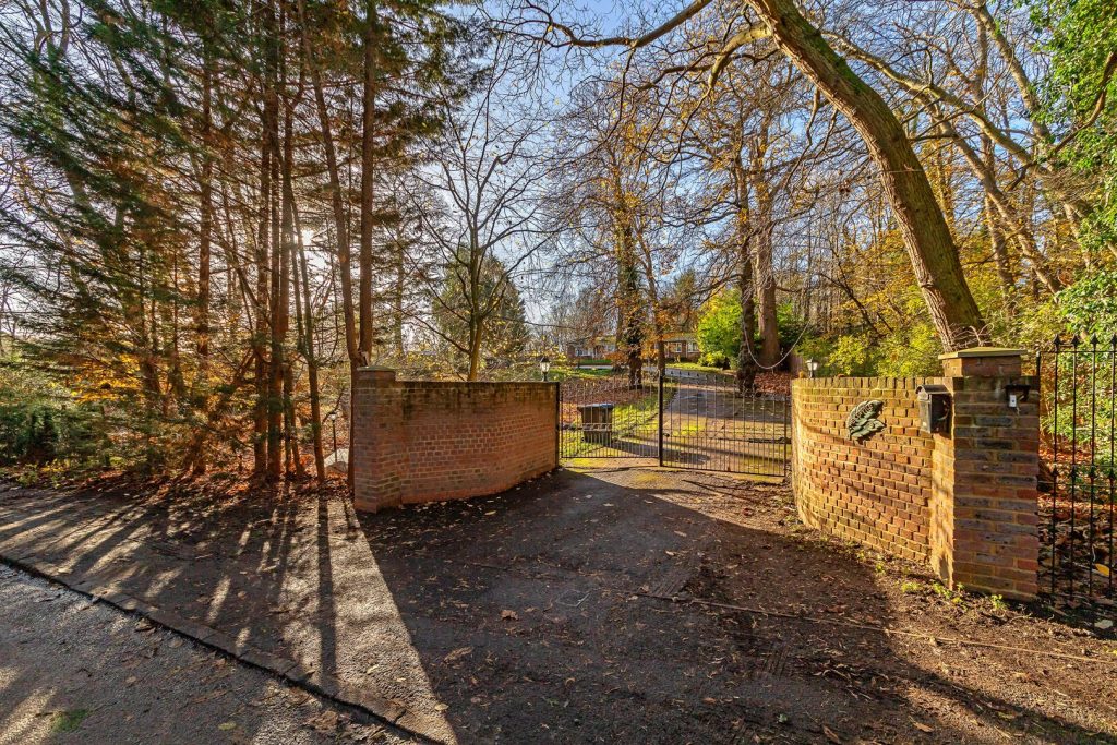 The Avenue
